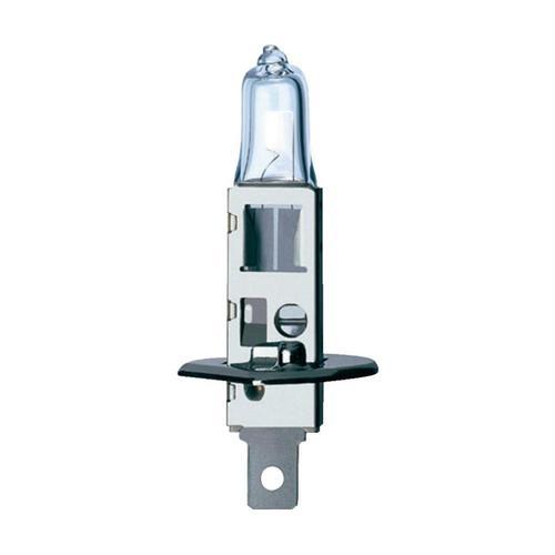 H1 BASIC 12V 55W P14,5S (7002)